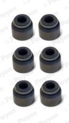 PAYEN HR5075 — Set simeringuri supape