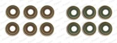 PAYEN HR5131 — Set simeringuri supape