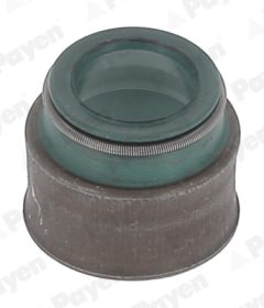 PAYEN HR5146 — Комплект маслосъёмных колпачков