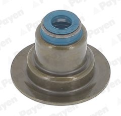 PAYEN HR5152 — Комплект маслосъёмных колпачков