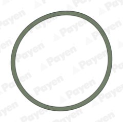 PAYEN JD5228 — Прокладка впускного коллектора