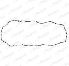 PAYEN JH5212 — Garnitură baie de ulei