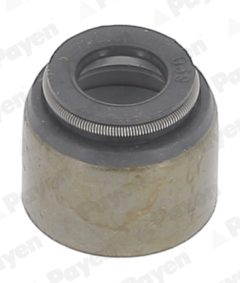 PAYEN KJ211 — Маслосъёмный колпачок