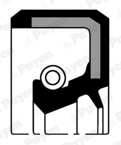 PAYEN NA5187 — Уплотнительное кольцо распредвала