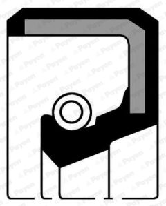 PAYEN NF741 — Уплотнительное кольцо распредвала