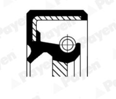 PAYEN NJ484 — Уплотнительное кольцо МКПП