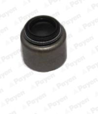 PAYEN PA5048 — Маслосъёмный колпачок