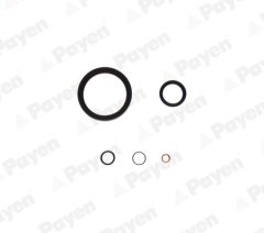 PAYEN EG7880 — Set garnituri bloc motor