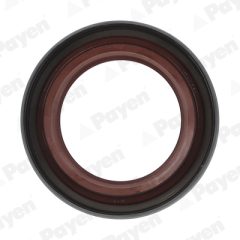PAYEN NA5205 — Уплотнительное кольцо дифференциала
