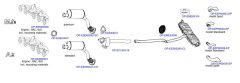 OPTIMAL OP-EXSVW545 — Sistem de evacuare complet