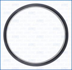 AJUSA 01567600 — Garnitură furtun admisie - carcasă filtru de aer