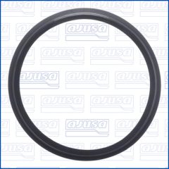 AJUSA 01569100 — Garnitură furtun admisie - carcasă filtru de aer