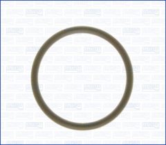 AJUSA 16019000 — Garnitură conductă lichid răcire
