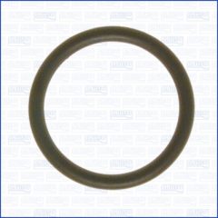 AJUSA 16019100 — Garnitură conductă lichid răcire