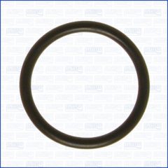 AJUSA 16060600 — Garnitură termostat