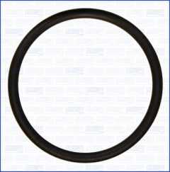 AJUSA 16087600 — Garnitură termostat