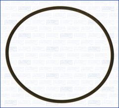 AJUSA 16099500 — Garnitură pompă vacuum