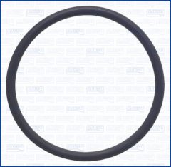 AJUSA 16135000 — Garnitură termostat