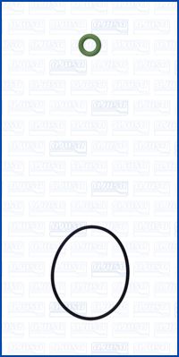 AJUSA 77010200 — Set garnituri sistem injecție