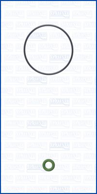 AJUSA 77012300 — Set garnituri pompă de injecție