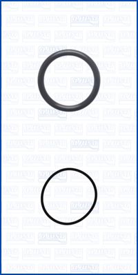 AJUSA 77024700 — Set garnituri turbină