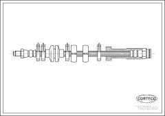 CORTECO 19018560 — Furtun de frână