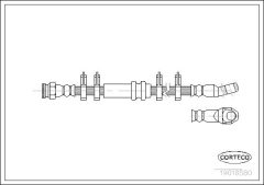 CORTECO 19018580 — Furtun de frână