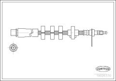 CORTECO 19026370 — Furtun de frână