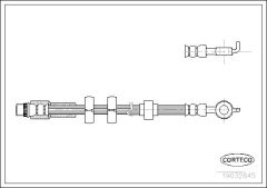 CORTECO 19032845 — Furtun de frână