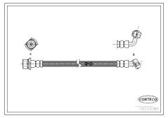 CORTECO 19033086 — Furtun de frână