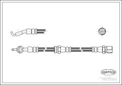 CORTECO 19035060 — Furtun de frână