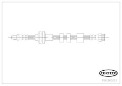 CORTECO 19036503 — Furtun de frână