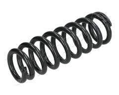 JAPANPARTS ZC1039A — Пружина подвески