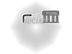 BUGIAD 88623 — Furtun intercooler