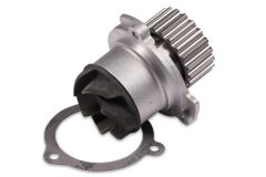 HEPU P622 — Pompă de apă