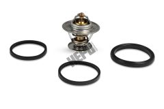HEPU TM1309 — Termostat lichid răcire