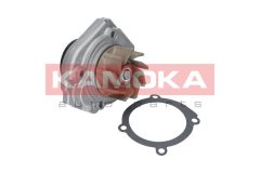 KAMOKA T0013 — Помпа