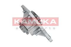 KAMOKA T0035 — Помпа