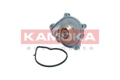 KAMOKA T0050 — Pompă de apă