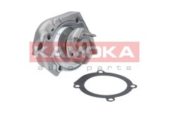 KAMOKA T0115 — Помпа