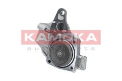 KAMOKA T0239 — Помпа