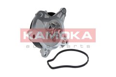 KAMOKA T0262 — Помпа