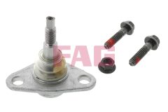 FAG 825 0213 10 — Pivot