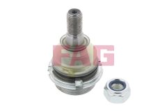FAG 825 0256 10 — Pivot