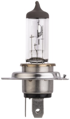 HELLA 8GJ 329 393-043 — Bec fază lungă