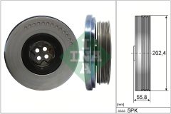 INA 544 0603 10 — Fulie arbore cotit