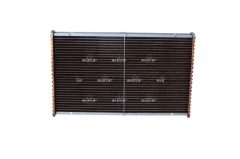 NRF 24249 — Plasă protecție radiator
