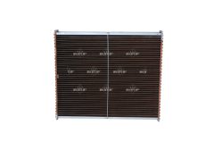 NRF 24531 — Plasă protecție radiator