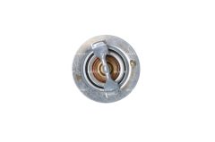 NRF 725119 — Termostat lichid răcire