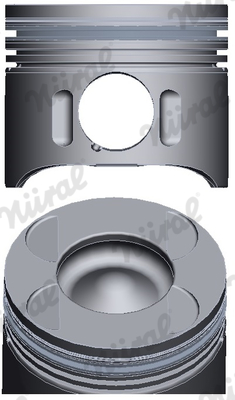 NÜRAL 87-426600-00 — Piston motor